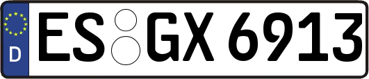 ES-GX6913