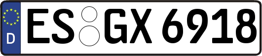 ES-GX6918