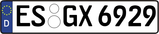 ES-GX6929