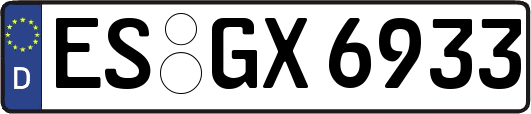 ES-GX6933