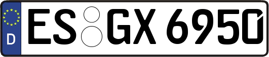 ES-GX6950
