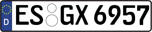 ES-GX6957