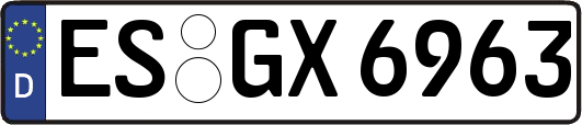 ES-GX6963