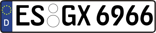 ES-GX6966