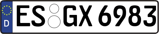 ES-GX6983