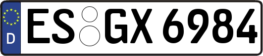 ES-GX6984