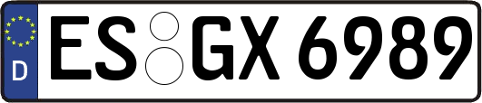 ES-GX6989