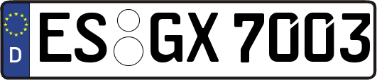 ES-GX7003