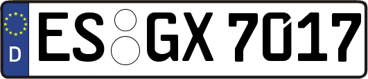 ES-GX7017