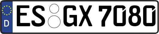 ES-GX7080