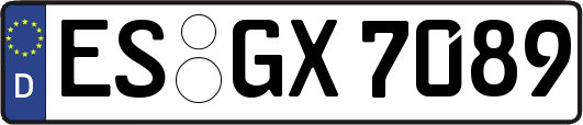 ES-GX7089