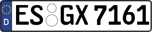 ES-GX7161