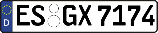 ES-GX7174