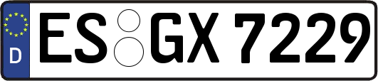 ES-GX7229