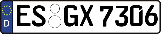 ES-GX7306