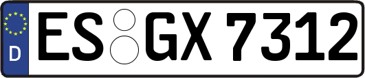 ES-GX7312
