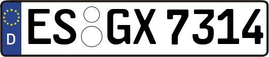 ES-GX7314