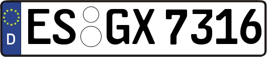 ES-GX7316