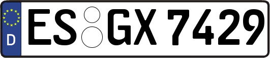 ES-GX7429