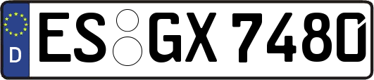 ES-GX7480