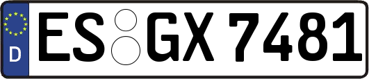 ES-GX7481