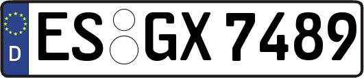 ES-GX7489