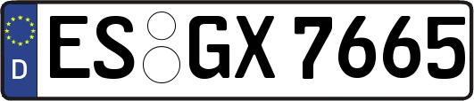 ES-GX7665