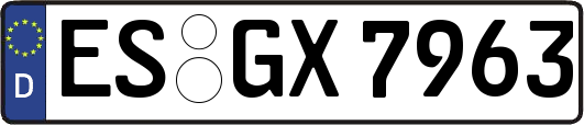 ES-GX7963