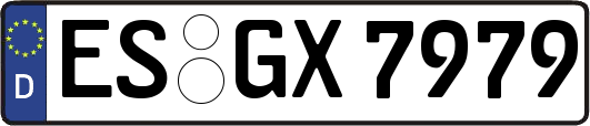 ES-GX7979