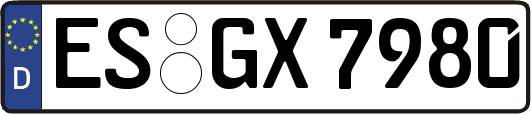 ES-GX7980