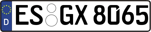 ES-GX8065