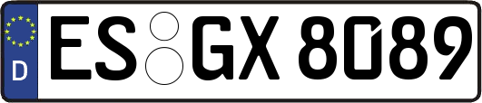ES-GX8089