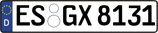 ES-GX8131