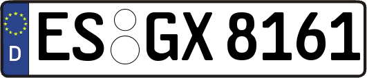 ES-GX8161