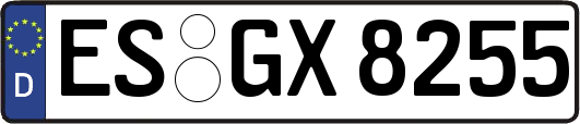 ES-GX8255