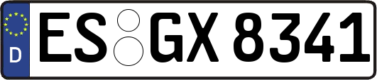 ES-GX8341