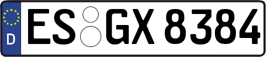 ES-GX8384