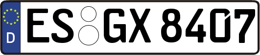ES-GX8407