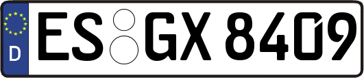 ES-GX8409