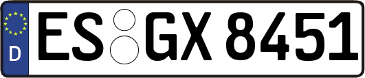 ES-GX8451