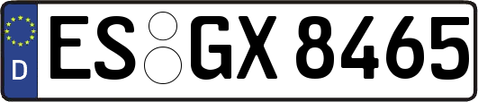 ES-GX8465