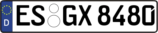 ES-GX8480