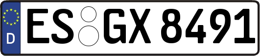 ES-GX8491