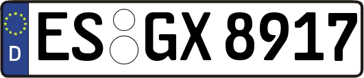 ES-GX8917