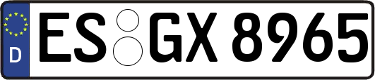 ES-GX8965