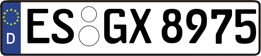 ES-GX8975