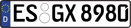 ES-GX8980
