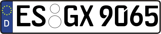 ES-GX9065