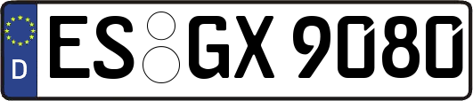 ES-GX9080