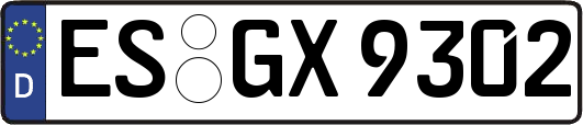 ES-GX9302